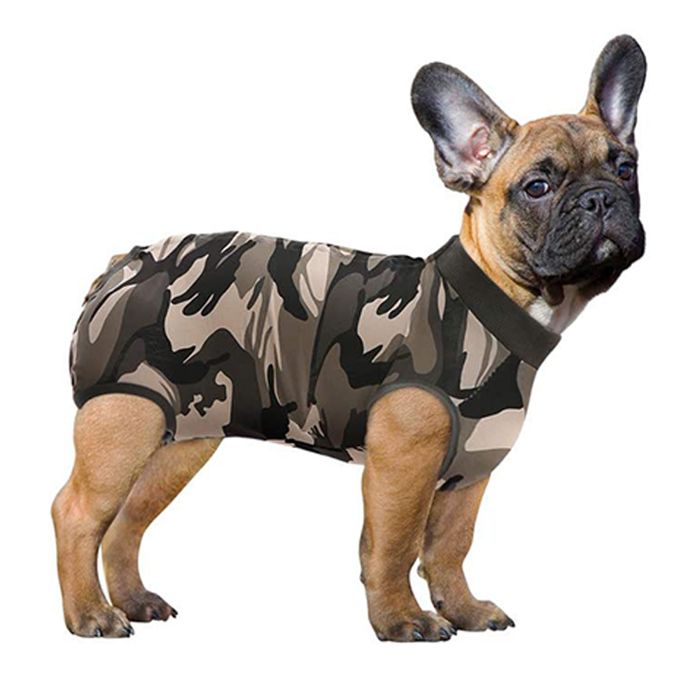 Comparer les prix de Combinaison de récupération pour chien ou chat, tenue post-chirurgie confortable, prévient le léchage et les infections