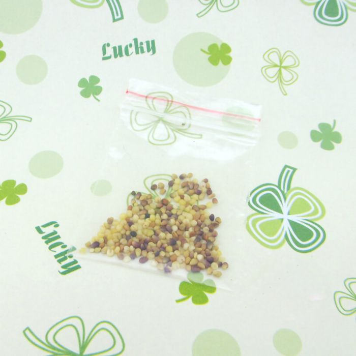 Meilleurs prix pour Lot de 100 graines de trèfle à quatre feuilles pour bonsaï, décoration de jardin et balcon