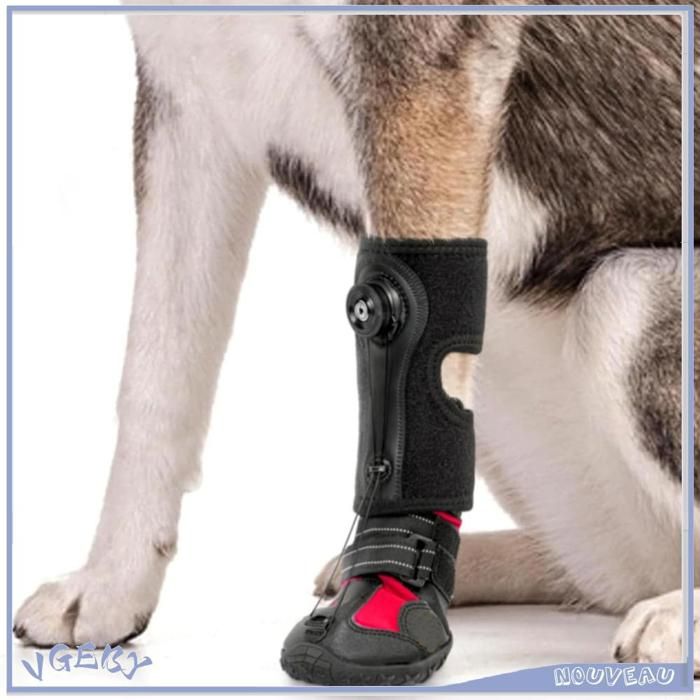 Comparer les prix de VGEBY Attelle de pied de chien Attelle de pied pour chien respirante intégrée résistante à labrasion semelle animalerie kit M.
