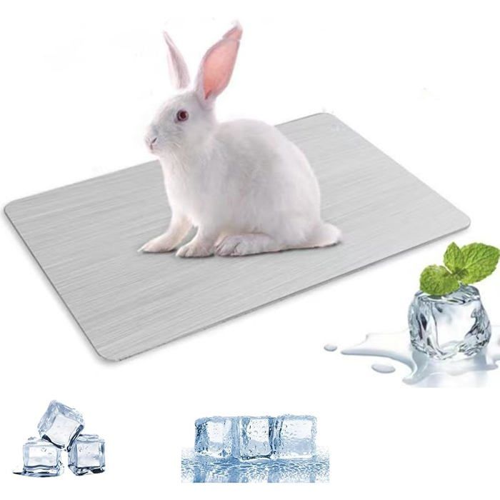 Coussin rafraîchissant pour lapin hamster animal de compagnie plaque de refroidissement en alliage 20cm x 30cm