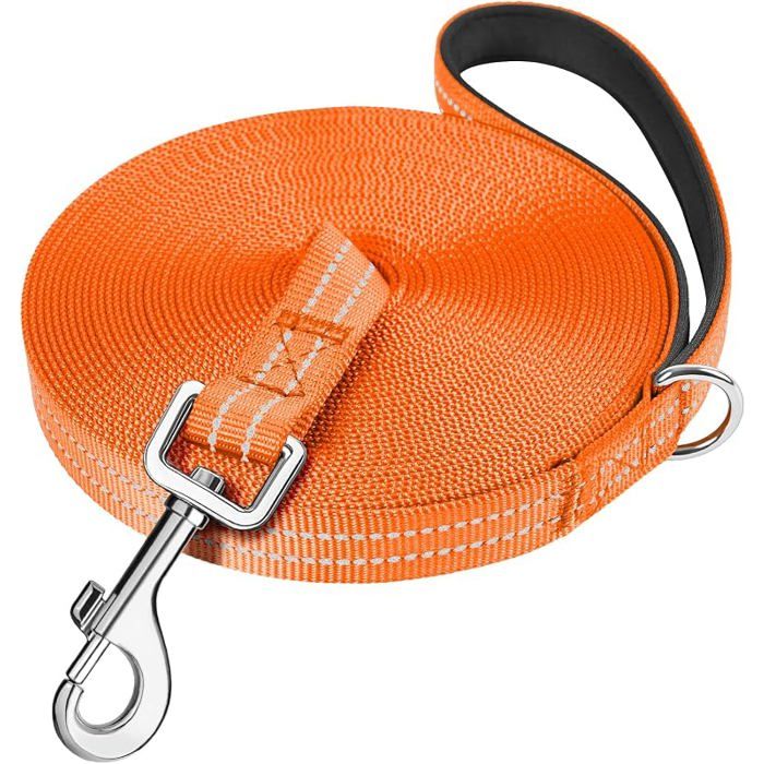 X Longe pour Chien Laisse de DressageRembourréeDurable et LégerLonge pour PetitMoyen et Grand Chienavec Orange 3M LAISSE