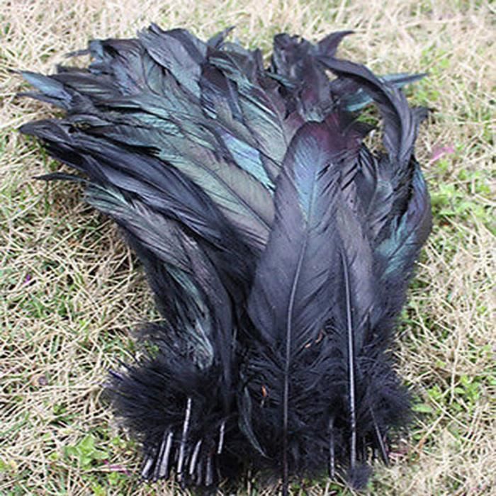 Vente en gros 50 pièces-lot naturel noir belle plumes de coq 30 35 cm 12 14 pouces - Type 50PCS