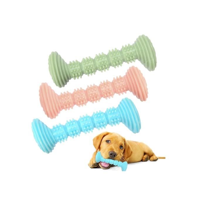 Jouet à Mâcher pour Chien - Brosse à Dent - Caoutchouc Naturel - Non Toxique - 3 pièces