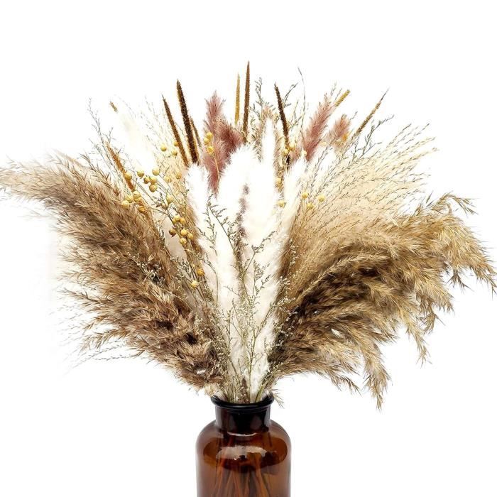 Herbe de Pampa SéChéE 45 Cm Fleurs SéChéEs DéCor Plantes Moelleuses ...