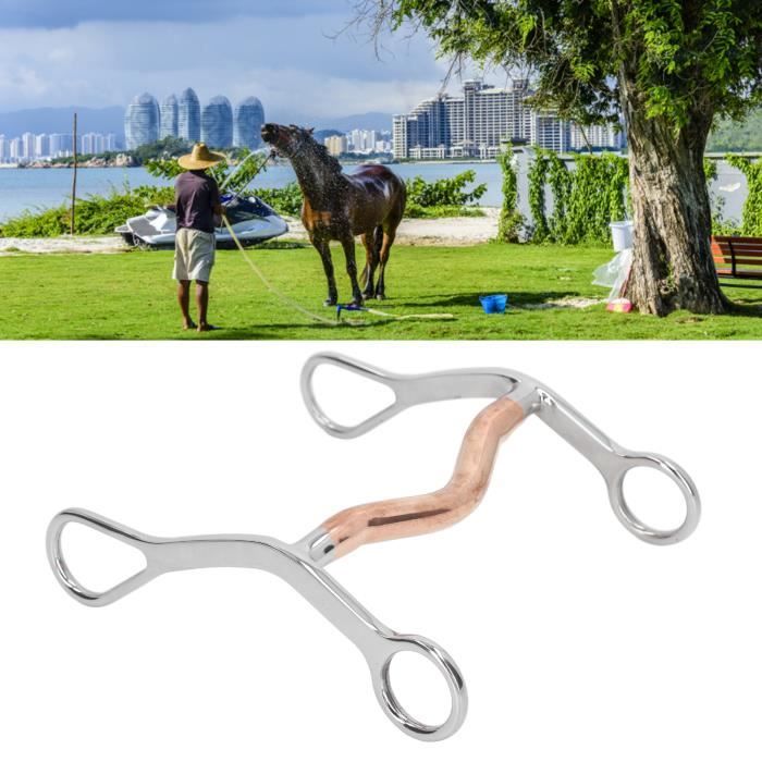 Mors De Cheval En Acier Inoxydable Avec Anneaux En D En Cuivre Ensemble De Mors Equitation Avec Rouleaux En Cuivre Mors De Bouche De Cheval De 125 94219298