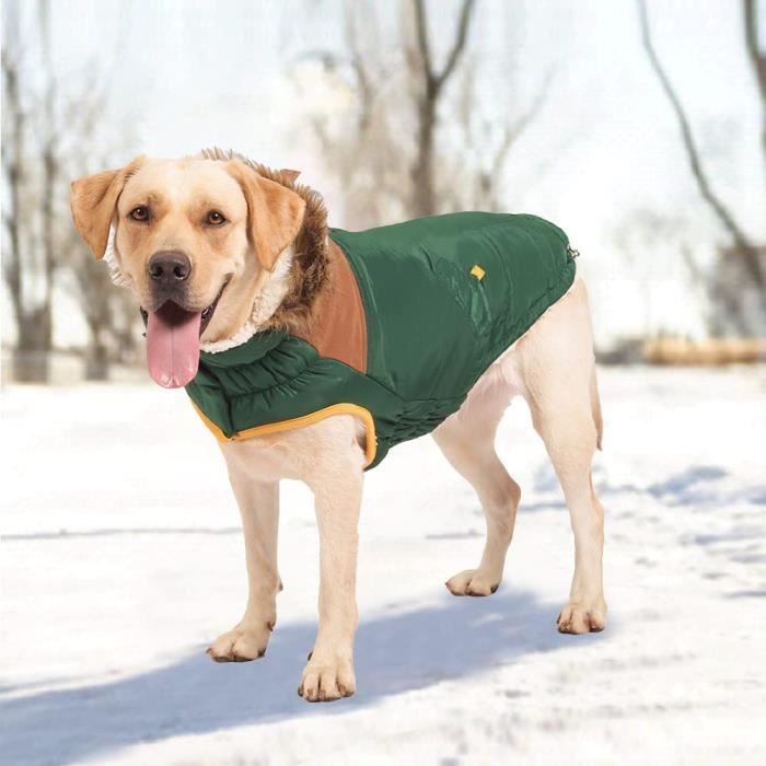 Manteau neige on sale chien