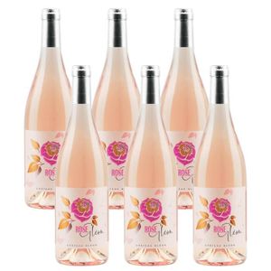 VIN ROSE Rosé Gléon - Vin rosé bio du Château Gléon - 2021 