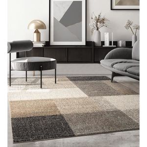 TAPIS Tapis de salon ou de chambre en moderne design | M