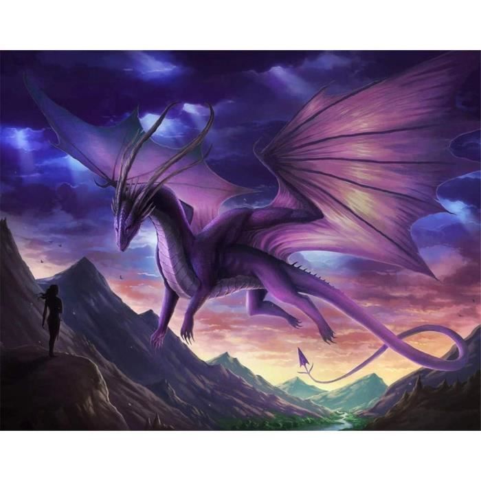 Kit de peinture en diamant 5D,broderie diamant kit,Point de croix diamant Broderie diamantA Dragon 30X25cm@Z5066