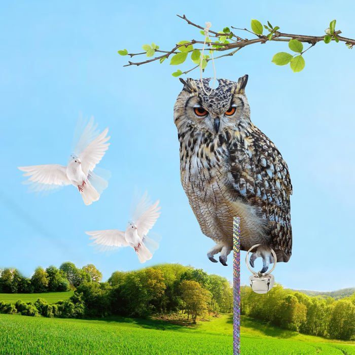 GLMFAN Lot De 2 Faux Leurres De Hibou Pour Effrayer Les Oiseaux à Tête Rotative Pour Extérieur Naturel Chouette épouvantail écureuil Statues De Hibou En Plastique Pour Décoration Extérieure, Cour Et
