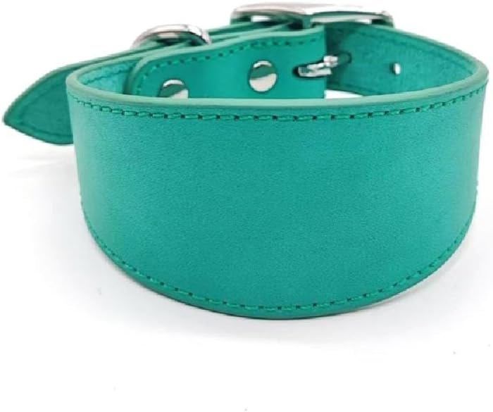 Meilleurs prix pour Leathers Collier rembourr doux pour whippets salukis lvriers Collier rglable pour chiens de raceVertS couleurs multiples Largeight
