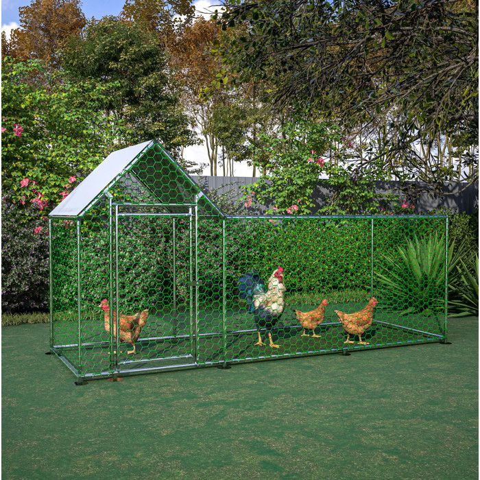 Poulailler enclos extérieur 3 x 1 x 1 5 m avec serrure toit PE étanche anti-UV et acier galvanisé ORVRYN