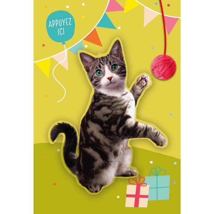 Carte Anniversaire Musicale Cdiscount Carte Anniversaire Musicale Cdiscount