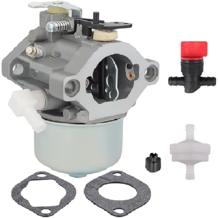 Carburateur Compatible Briggs & Stratton 28D702 28M707 - Remplace 699831 694941 Pour Tondeuses