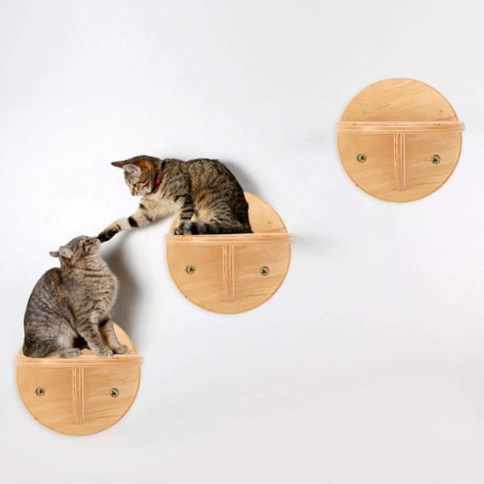 Arbre A Chat Tetagegraveres Pour Chat Mural Lit Mural Pour Chat Eacutetagegravere Murale Pour Chat Eacuteleacutegant Meuble Mura476 Cdiscount Animalerie