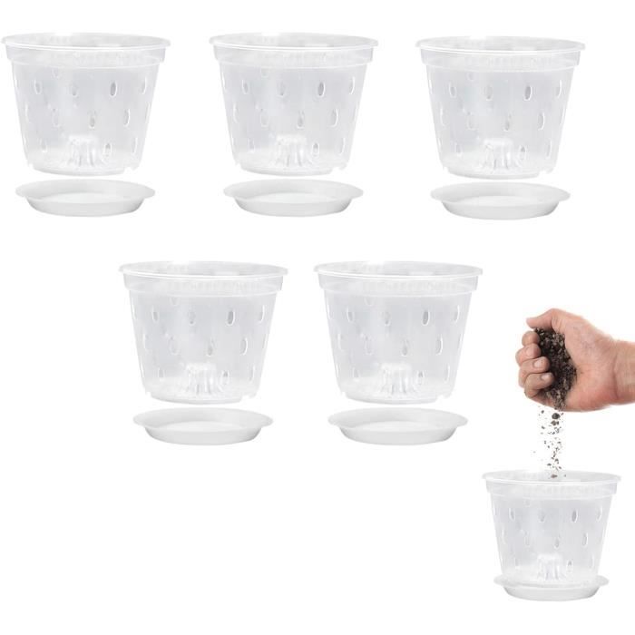 LANPEW Lot De 10 Plateaux De Culture 1020 Sans Trous De Drainage, 54 X 28 Cm Plateaux De Culture Parfaits Pour Les Semis Le Jardinage Interieur La Culture De Microgreens Dherbe De Ble Et Plus LANPEW Lot De 10 Plateaux De Culture 1020 Sans Trous De Drainage, 54 X 28 Cm Plateaux De Culture Parfaits Pour Les Semis Le Jardinage Interieur La Culture De Microgreens Dherbe De Ble Et Plus