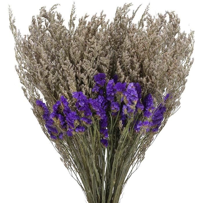 4pcs fleurs séchés bouquet violet séché lavande fleurs de lavande séchée  naturelle fleurs séchées pour vase arrangement de fl 737 - Cdiscount Maison