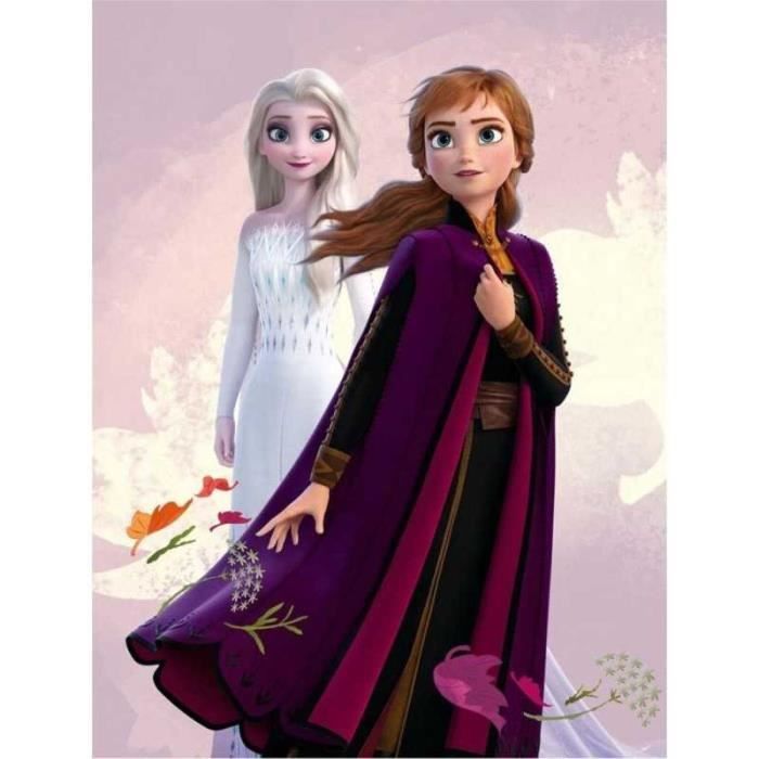 Disney la reine 2/Frozen 2 polaire/couverture couverture 100 cm x 140 cm NEUF 
