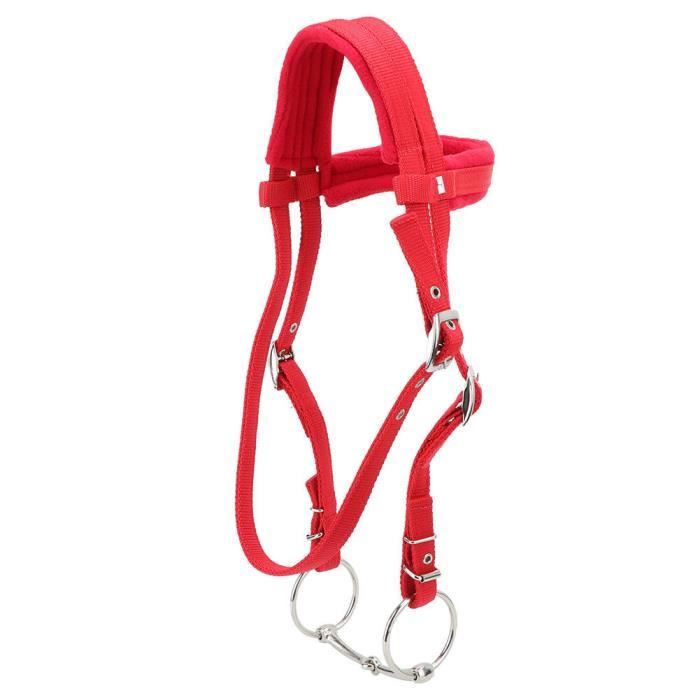 Equestrian Universe Harnais de conduite en cuir naturel de