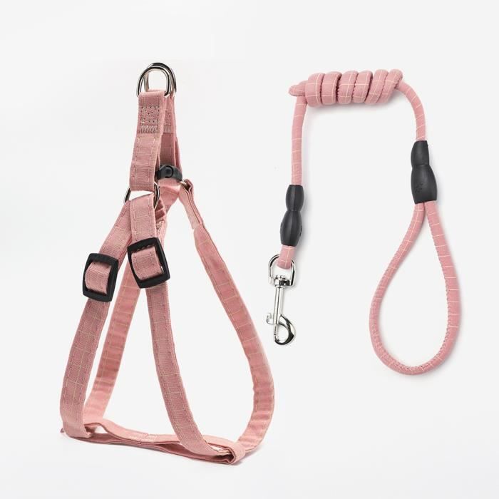 Laisse Réglable Pour Chien Toyvian - Motif Fraise, En Polyester, Longueur 120 Cm, Pour Promenades En Extérieur