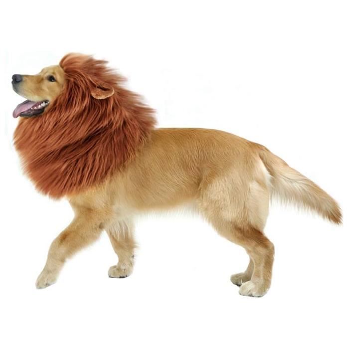 Meilleurs prix pour Costume De Crinière De Lion Pour Chien, Perruque Pour Grands Vêtements De Cheveux Fantaisie Avec Oreille