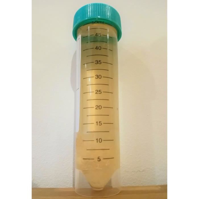 Mycélium de Champignons de Paris Kit de culture champignons 15ml/50 ml  (tube, 15ml)