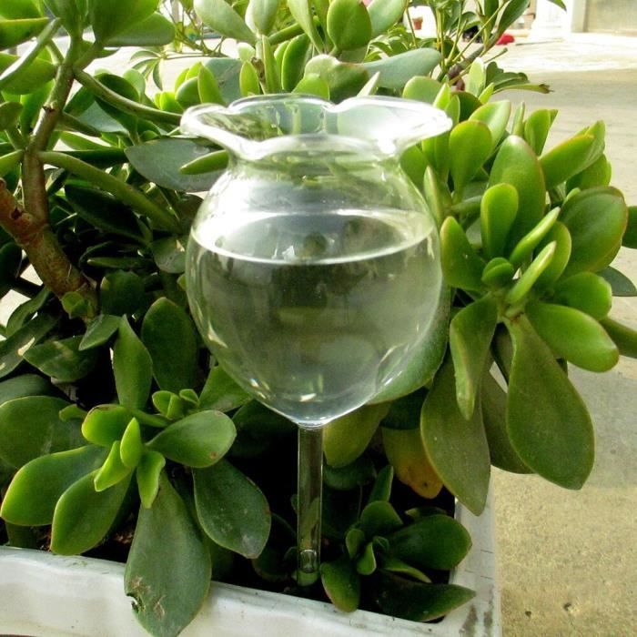 Pulvérisateur,Dispositif d'arrosage automatique des plantes d'intérieur en  verre,dispositif d'arrosage créatif Pop up pour le - Cdiscount Jardin