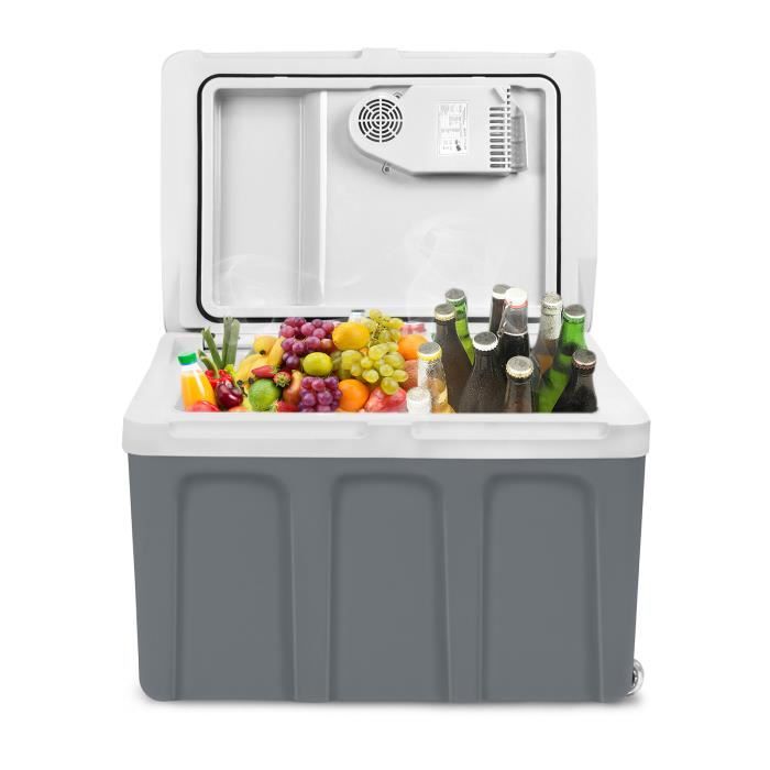 YUENFONG Glacière à Compresseur 48L Mini Réfrigérateur Électrique