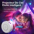 Projecteur Ciel Étoilé LED, Projecteur Galaxie, Connexion WiFi-Contrôle vocal-16 millions couleurs-Minuterie, Projecteur Lampe-2
