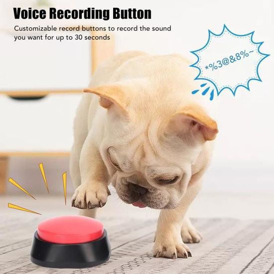 Lot de 6 buzzers de Dressage enregistrables chien enregistrement bouton  professionnel 30 secondes enregistrement personnalisé - Cdiscount