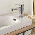 Robinet lave-mains chromé - Mitigeur eau chaude / eau froide TAP - MOB-IN - Col de cygne - ABS - Vasque à poser-0