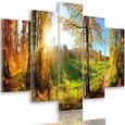 5 Panneaux à Accrocher Technique forêt 200x100 cm Vue Paysage rayons de soleil décoration murale moderne Image XXL Tableau Mural-0