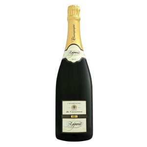 CHAMPAGNE Champagne Charles de Cazanove Apparat Brut - 75 cl