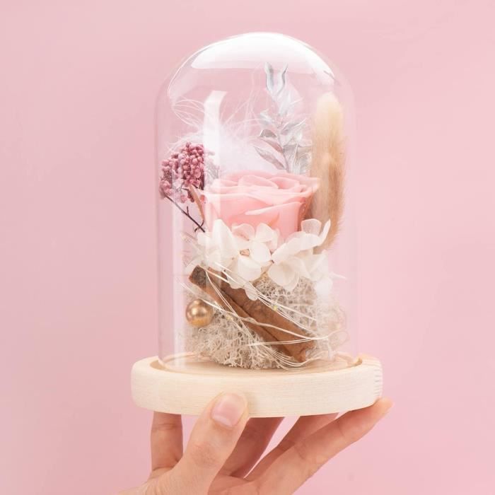 Rose éternelle Artificielle Sous Cloche Avec Papillon - Décoration Cadeau Moderne, 22 Cm, éclairée (piles AAA Non Fournies)
