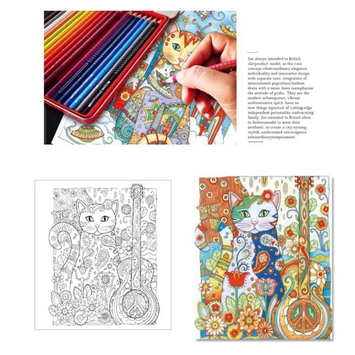 Fun Adult Coloring Book Designs Livre De Coloriage Anti Stress Mandalas Animaux Nlzj70703228 Achat Vente Livre De Coloriage Cdiscount