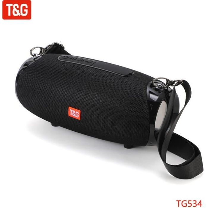 Enceinte nomade,T & G TG534 – haut-parleur Bluetooth Portable,sans