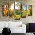 5 Panneaux à Accrocher Technique forêt 200x100 cm Vue Paysage rayons de soleil décoration murale moderne Image XXL Tableau Mural-2