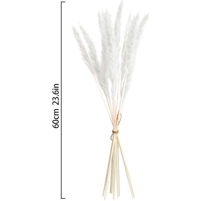 Plumeau séché blanc XL - Fleur séchée décorative à plumes - Prix doux