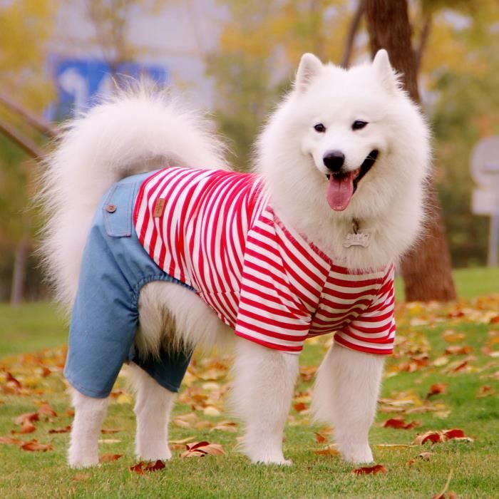 Pyjama bouledogue francais deals