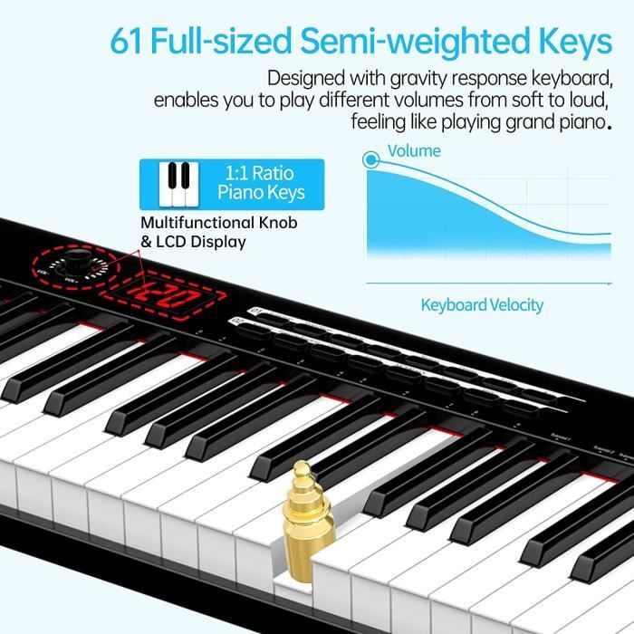 TERENCE Piano Numérique 61 Touches semi-lestées avec interface MIDI avec  Touches Lumineuses support de partitions Bluetooth Sacs pour Clavier Câble  audio Casque : : Instruments de musique et Sono