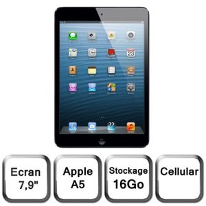 TABLETTE TACTILE iPad mini Wi-Fi + Cellular 16 Go noir & ardoise