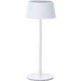 Lampe de table d'extérieur - BRILLIANT - PICCO - LED et solaire - Métal et plastique - 5 W - Blanc-0
