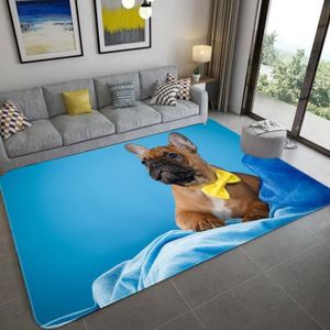 Nouvelle grande qualité Nouveauté Tapis Carlin Animal Design 80CMX150CM tapis maison 