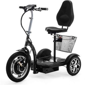 SCOOTER ELECTRIQUE MEDICAL  VELECO ZT16 Scooter électrique 3 Roues Mobylette Senior Handicapé 750W (NOIR)