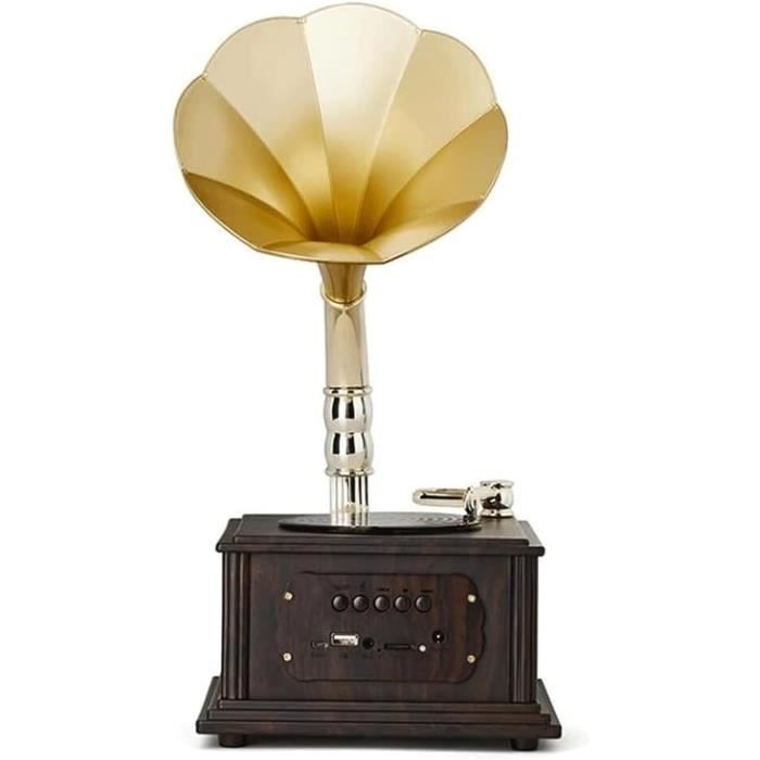 Platine vinyle tourne-disque avec 2 haut-parleurs tourne-disque pour