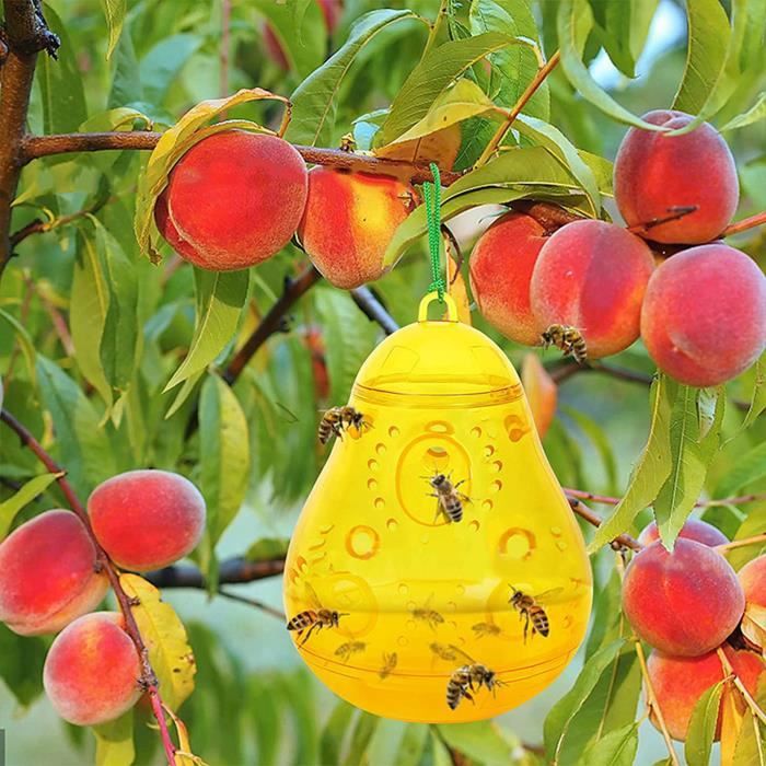 2 Pièges à Guêpes Suspendus Extérieur - Forme Gourde - Appât Naturel - Anti-guêpes, Frelons, Mouches - 15 Cm