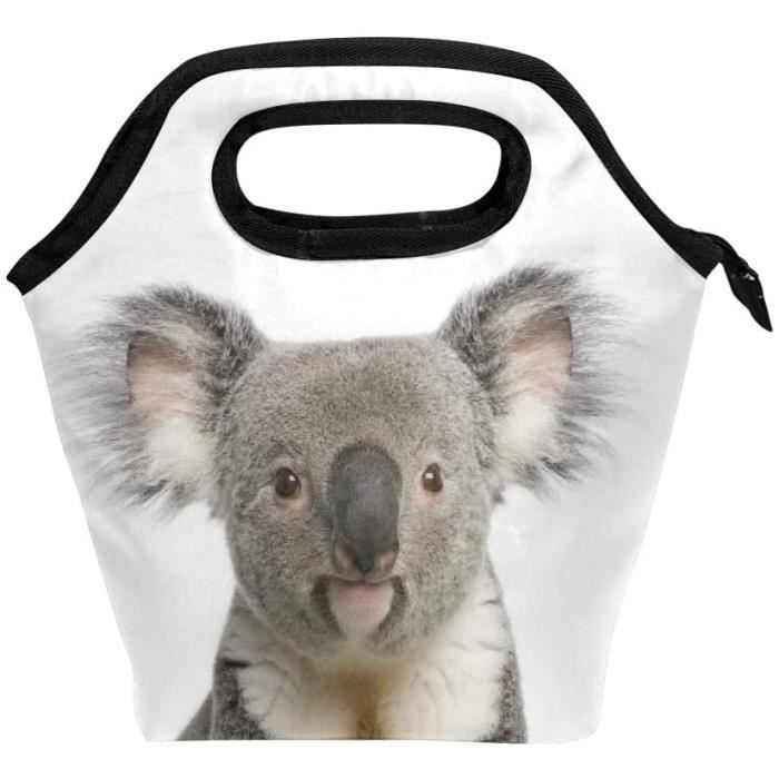 Grand Sac à Lunch Isotherme Pour Enfants, Imperméable, Réutilisable