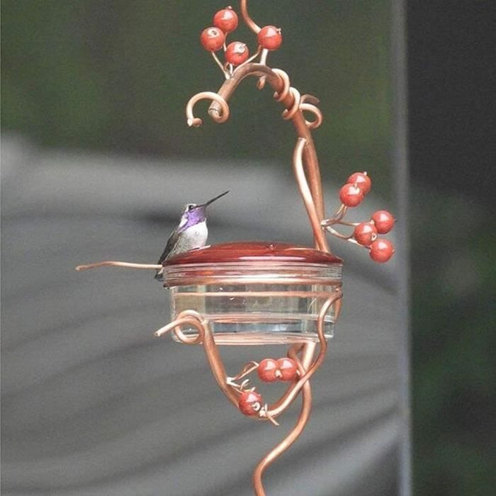 https://www.cdiscount.com/pdt2/7/0/0/1/700x700/auc3094835827700/rw/mangeoire-eau-suspendre-colibri-colibri-hanging-o.jpg
