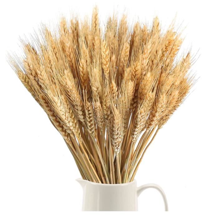100 épis De Blé Séchés Naturels - Bouquets Déco 40cm Pour Mariage, Maison, Vase, Centre De Table