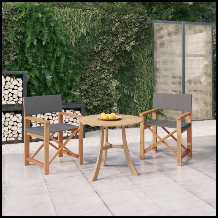 DEX+BK Chaises de metteur en scène lot de 2 Bois de teck massif Gris ...